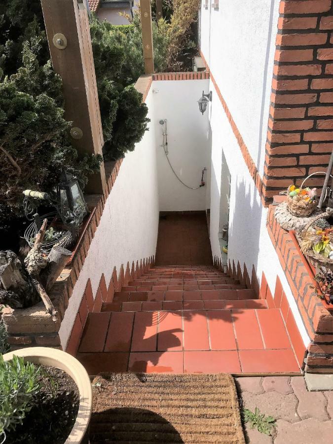 Ferienwohnung Hoppelnase Mit Eigener Sauna Langenstein المظهر الخارجي الصورة